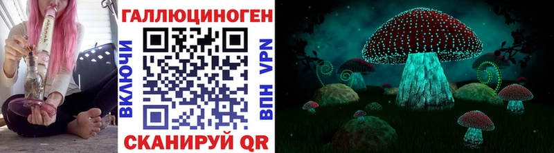 Галлюциногенные грибы GOLDEN TEACHER  наркошоп  Новомосковск 