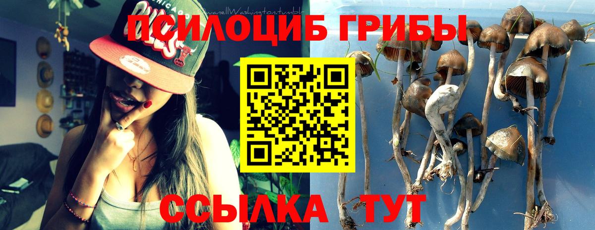 Новомосковск  Галлюциногенные грибы мухоморы  Вход с VPN 